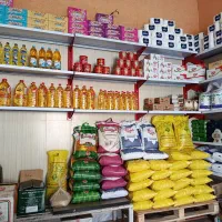 عرضه انواع برنج (عنبر بو،هندی،پاکستانی)