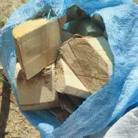 هیزم گردو و انواع جوابهای جنگلی