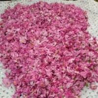 عرقیات خانگی با کیفیت و قیمت مناسب