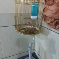 فروش قفس پرنده