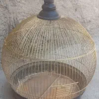 قفس