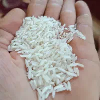 برنج هاشمی درجه یک