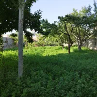فروش زمین