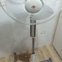 پنکه پارس خزرکارکرده