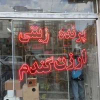 ال ای دی.نئون فلکس
