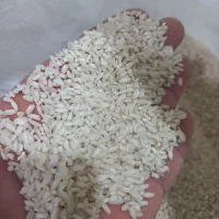 برنج عنبر بو