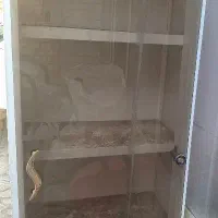 کابینت