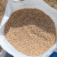 نخود|خوردنی و آشامیدنی|استهبان, |دیوار