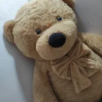 خرس کاملا سالم بدون پارگی