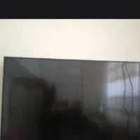 تلویزیون