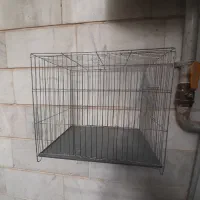 ۲عددقفس متوسط