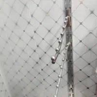 رگال و ساچمه ای همراه با رگال پرسی