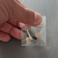 مهره خوش شانسی