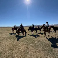 طبیعتگردی با اسب