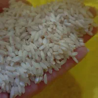 برنج عنبربو معطر درجه یک