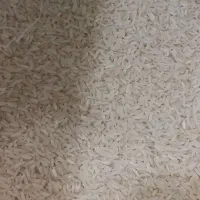 برنج کشت دوم،کیفیتِ ممتاز،قیمتِ کف