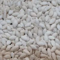 لوبیا وتخمه وکدو گوشتی