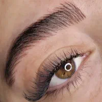 نیازمند اکستنشن کار حرفه ای