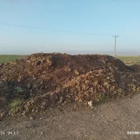 کود گوسفندی
