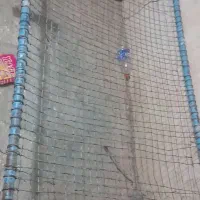 تخت فنسی