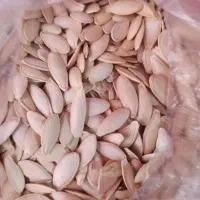 تخمه کدو گرگان