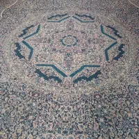 قالی 12متری