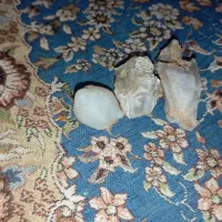 سنگ قیمتی