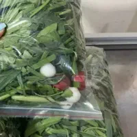 سبزی خوردن پاک شده نیم کیلویی ۵۵هزار