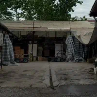 راننده نیسان