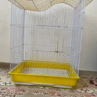قفس نو