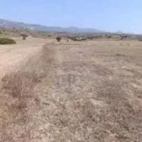 فروش زمین بنفشه دره جهاد کشاورزی