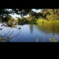 1300 متر زمین عالی برای پرورش ماهی وآبزیان