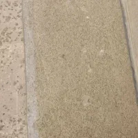 سنگ اپن