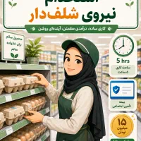 استخدام نیروی پرومات (چیدمان ، شلف دار)