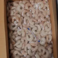 پخش عمده ماهی و میگو