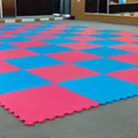 باشگاه رزمی