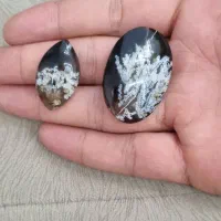 سنگ شجر اصلی