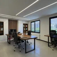 منشی مدیرعامل خانم