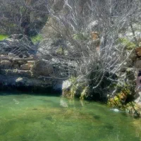 باغ-برای-فروش
