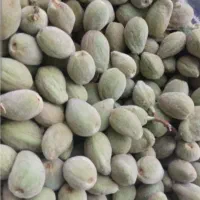 بادام درختی پوست نازک همدان