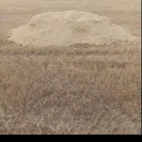 کاه کوپه ایی