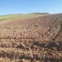 اجاره-گیر-زمین-کشاورزی