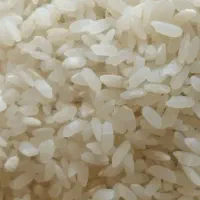 سلام برنج کامفیروزی درجه یک بازدید بیضاء