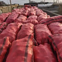 صادرات و واردات / هندوانه و خربزه و طالبی و سیب