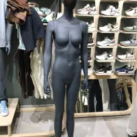 دو عدد مانکن برند پاپتی زنانه