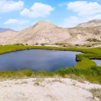 تور غواصی تفریحی