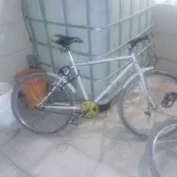 دوچرخه 24