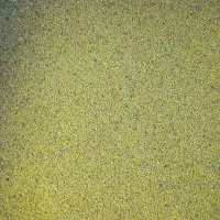 بذر یونجه تخمه