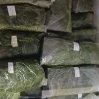 انواع سبزیجات موجود می باشد