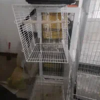 قفس کاسکویی فوق ضخیم|لوازم جانبی حیوانات|مشهد, ابوذر|دیوار